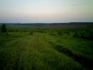 Дерегівка з panoramio.com
