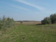 Старозаводське з panoramio.com