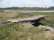 Добрятин з panoramio.com