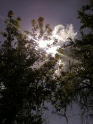 Агрономія з panoramio.com