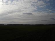 Дзензелівка з panoramio.com - Дзензелівка