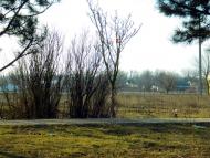 Миролюбівка з panoramio.com