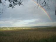 Відники - Останні фото