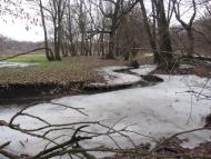 Ковпакове з panoramio.com