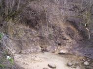 Білокриниця - Останні фото