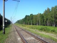 Вересівка з panoramio.com