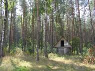 Млинок з panoramio.com