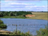 Гнилиця - Останні фото