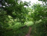 Гавронці з panoramio.com