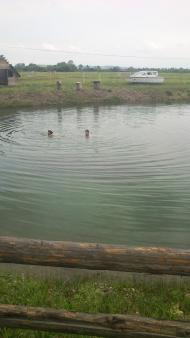 Банилів з panoramio.com