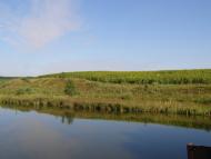 Половинчик з panoramio.com