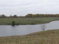 Підліснівка з panoramio.com