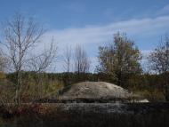 Дзензелівка з panoramio.com