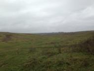 Вовківці з panoramio.com