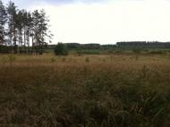 Здвижівка з panoramio.com