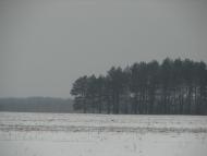 Авдіївка з panoramio.com