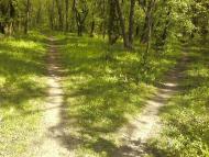 Агрономія з panoramio.com