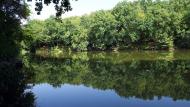 Маринівка з panoramio.com