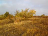 Михайлівка з panoramio.com