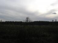 Зазим'я з panoramio.com