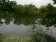 Букине з panoramio.com - Букине