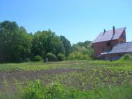 Северинівка з panoramio.com