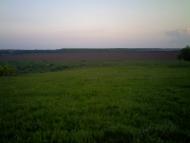 Дерегівка з panoramio.com