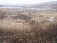 Городище з panoramio.com