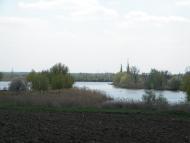 Жовте - Останні фото