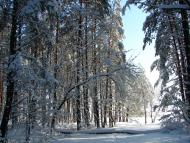 Авдіївка з panoramio.com