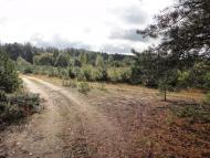 Будилівка з panoramio.com