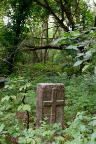 Пшеничники з panoramio.com