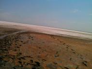 Чонгар з panoramio.com - Чонгар
