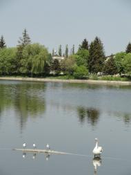 Лище з panoramio.com