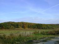 Чернин з panoramio.com