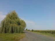 Гнатки з panoramio.com