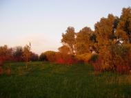 Вітрівка з panoramio.com