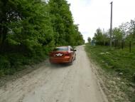 Борсуки з panoramio.com