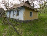 Борсуки з panoramio.com