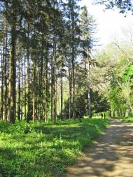 Зелений Гай з panoramio.com