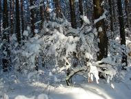 Авдіївка з panoramio.com