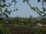 Панкратове з panoramio.com