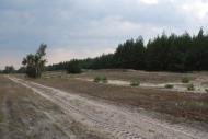 Капітанове з panoramio.com