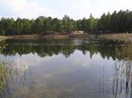 Толокунь з panoramio.com