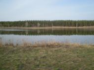 Болотене з panoramio.com