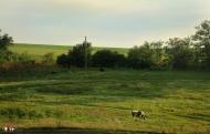 Раухівка з panoramio.com