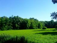 Тарноруда з panoramio.com