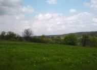 Чернин з panoramio.com