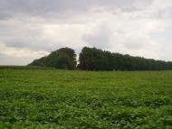 Лютарі з panoramio.com