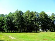 Острівці з panoramio.com